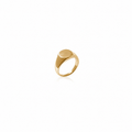 Anillo Plata - Chapa